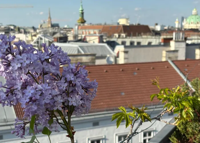 Quietcityviews